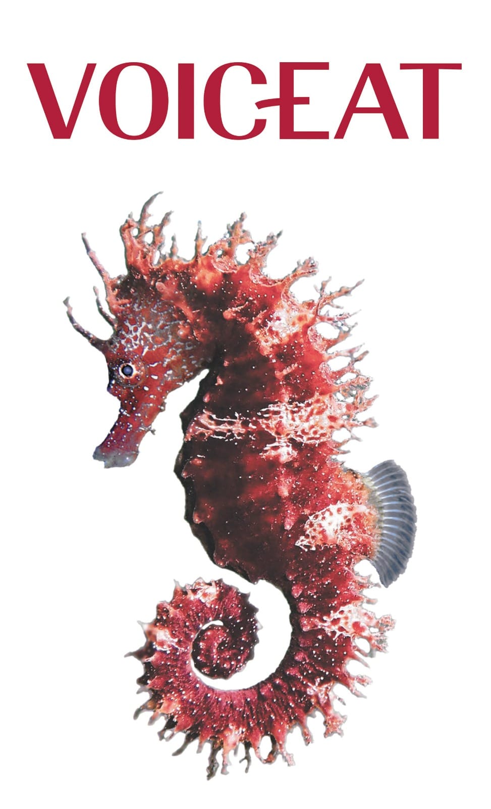 Animale sacro nell'antichità e inconsapevole riformista dei tempi moderni: il CAVALLUCCIO MARINO (a rischio di estinzione) col suo fascino e i suoi misteri è il protagonista della nuova summer bag di VOICEAT